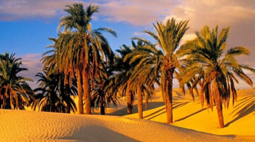 Things to do in Sinai